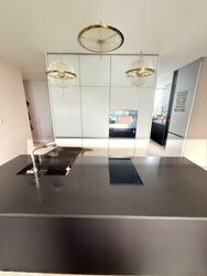 Amber Park (D15), Condominium #502908521